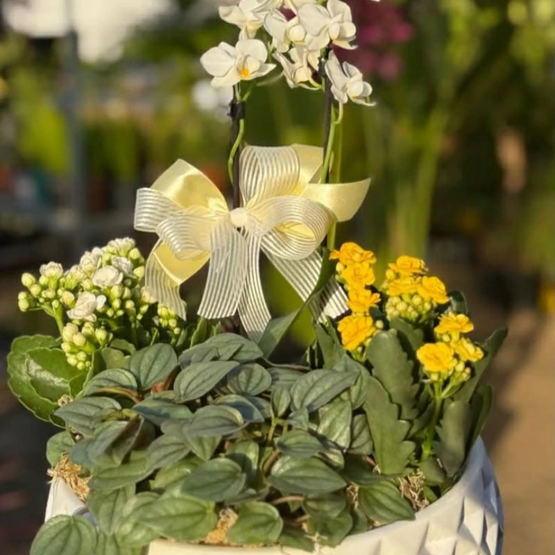 flores-e-buques