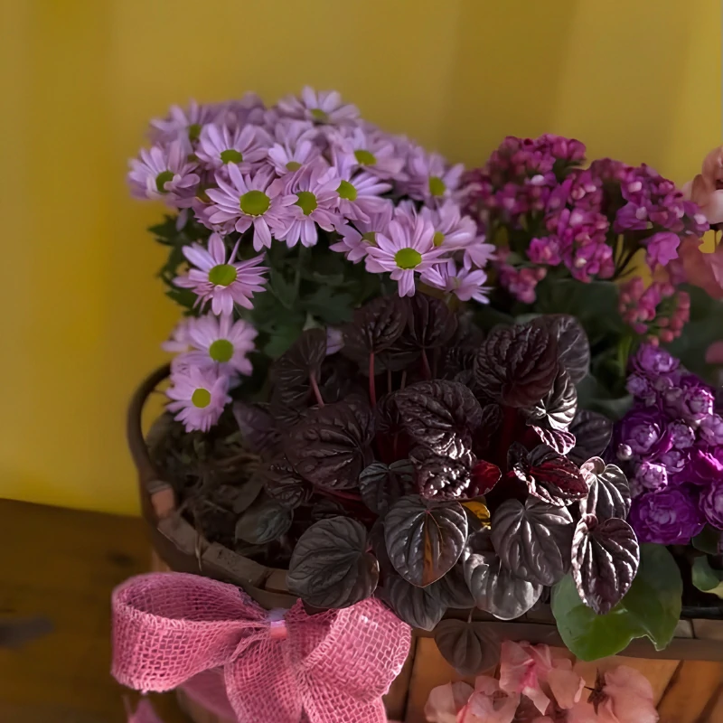 flores-floricultura