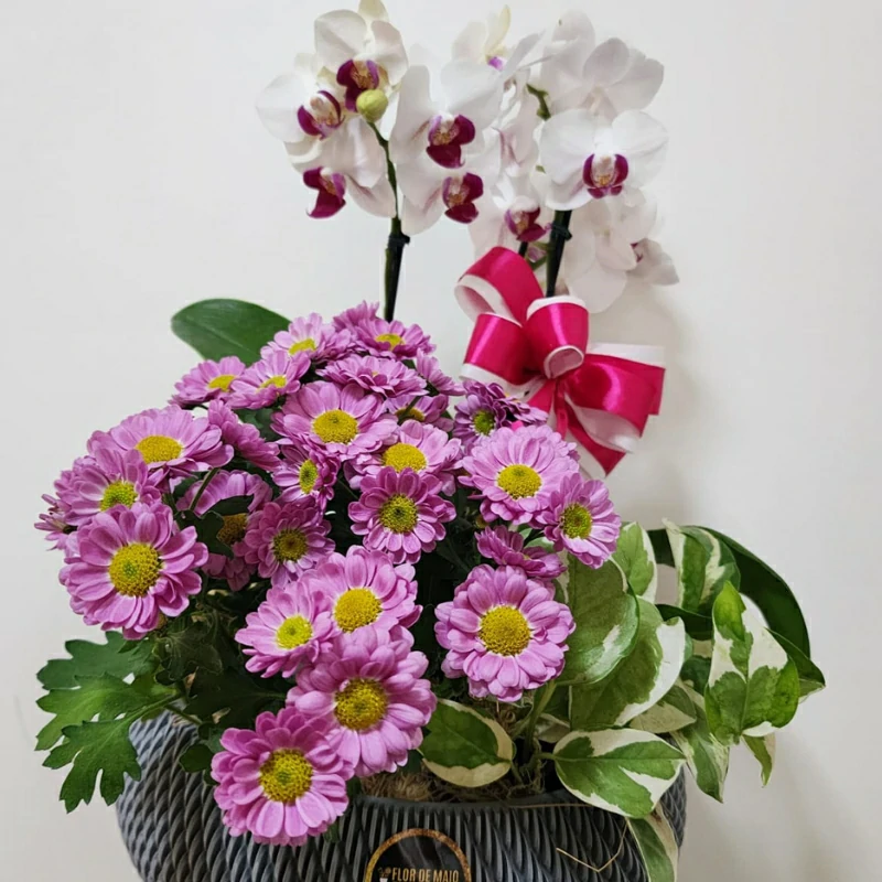 floricultura