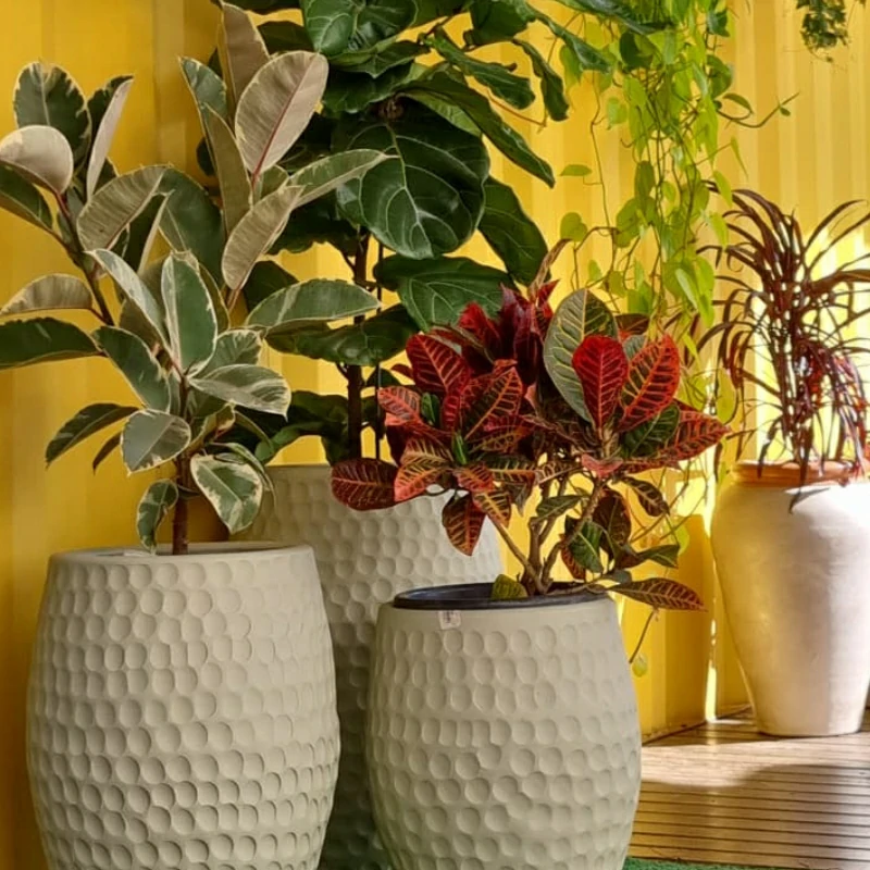 plantas (3)