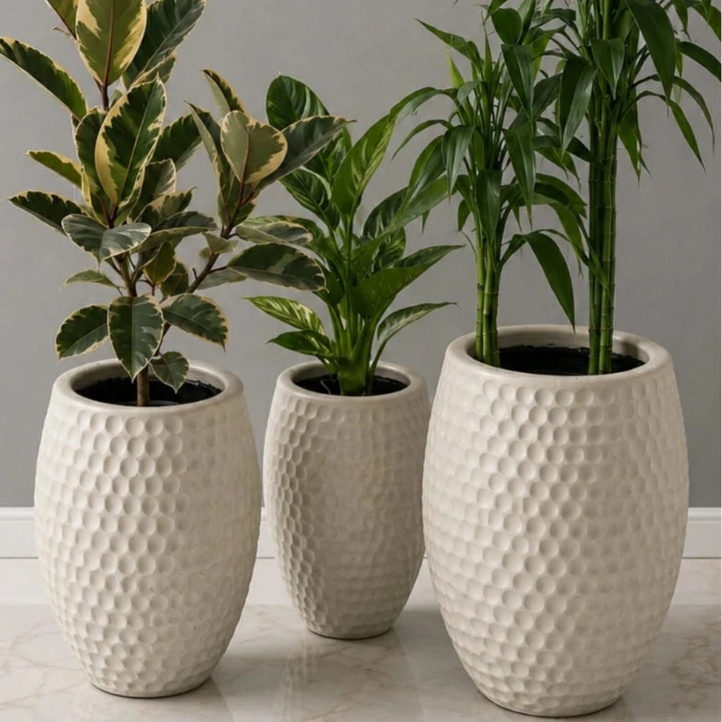 plantas-e-vasos