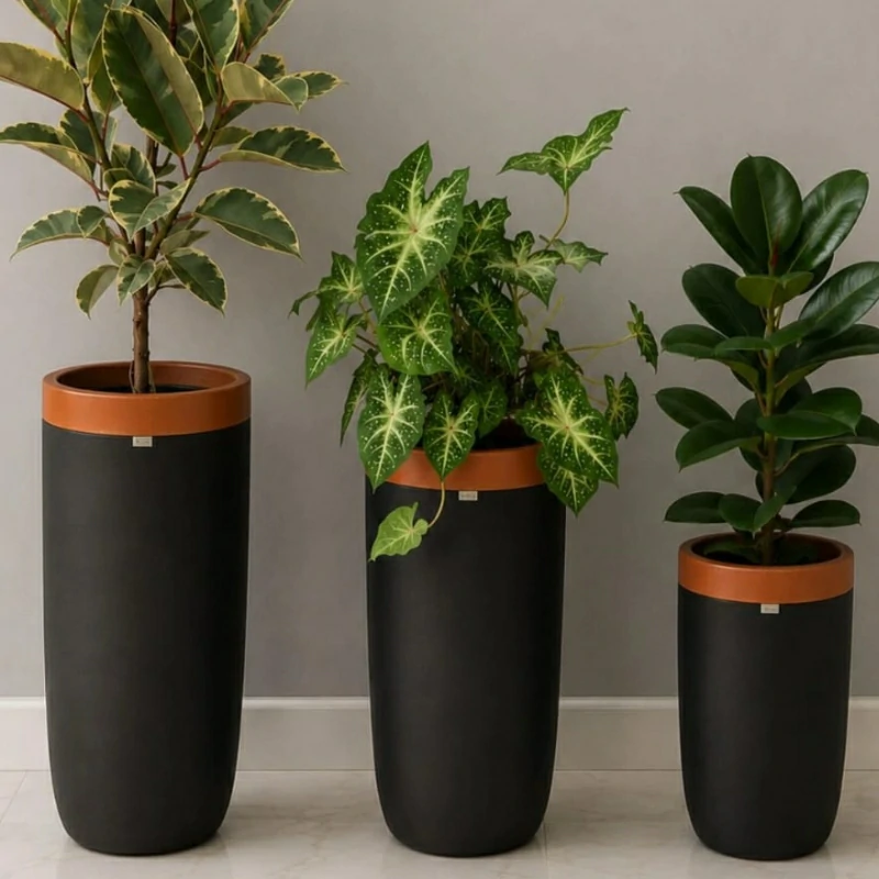 plantas-ornamentais
