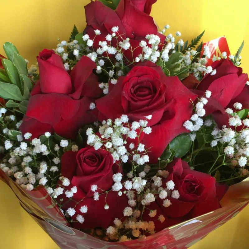 rosas (4)