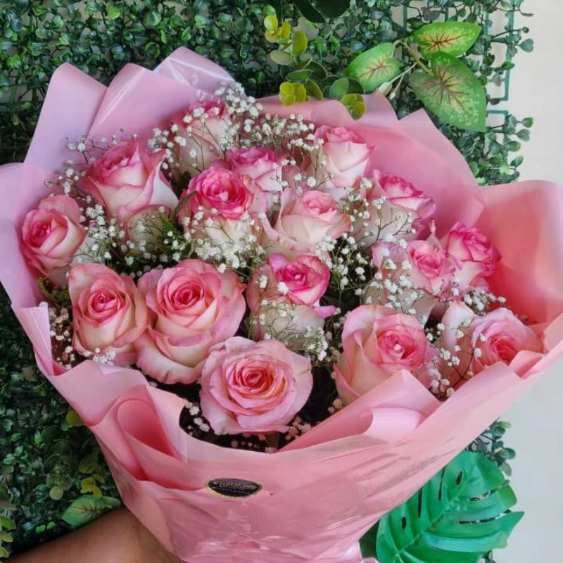 rosas (5)